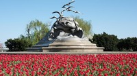 George Washington Memorial Parkway menempati posisi keenam dengan 7,5 juta kunjungan. Wisatawan yang berkunjung ke taman nasional dan sejenisnya, menghabiskan sekitar USD 20,2 miliar atau setara Rp 287,4 triliun pada 2108 (Foto: CNN)