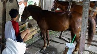 Begini suasana markas delman di kawasan Jakarta Selatan, Senin (9/3/2020).