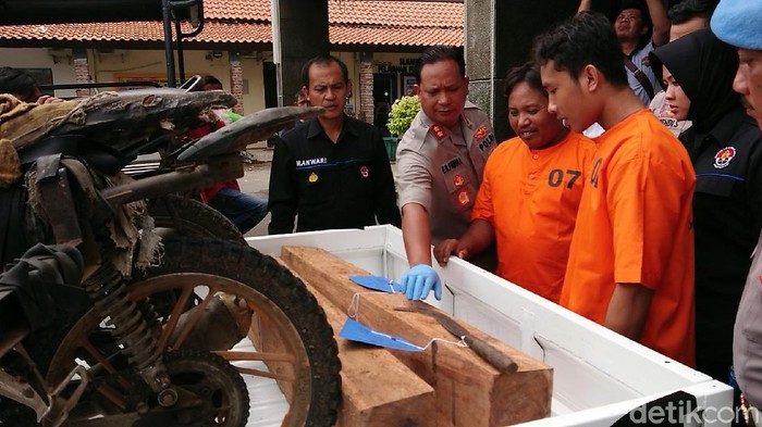 illegal logging di tulungagung