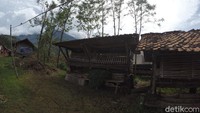 Pada dasarnya Kampung Kambing adalah kandang-kandang kambing warga yang dijadikan satu, sehingga total ada puluhan kandang kambing yang dimana satu kandang bisa menampung 18-20 kambing.