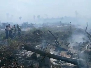 Polda Kalimantan Tengah Siapkan Cara Cegah Karhutla hingga Hadapi COVID-19