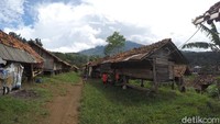 Kampung kambing malah menjadi salah satu destinasi wisata di Desa Cibuntu, Kuningan.