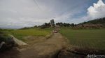 Embekk! Kampung Kambing di Desa Cibuntu