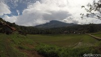 Desa Cibuntu terletak di kaki Gunung Ciremai, Jawa Barat.