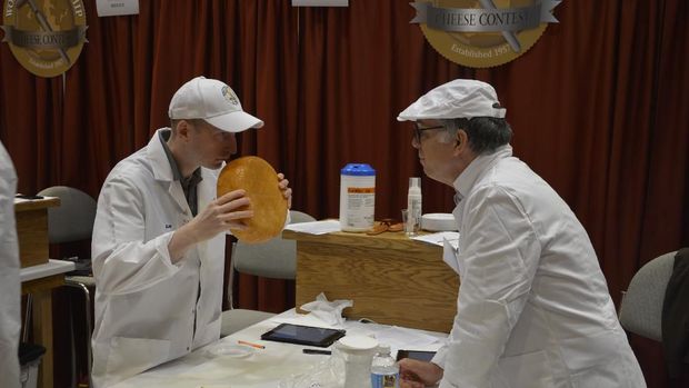 'Swiss Gruyere' Jadi Keju Terbaik Dunia, Ini Keistimewaannya