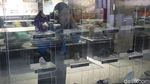 Foto: Batu-batu Tak Biasa di Museum Geologi Bandung