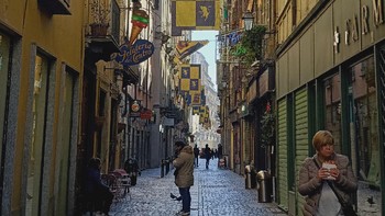 Reno3 akan mencocokkan dan mengkalibrasi warna hingga ukuran pixel pada tiap gambar yang berbeda. Tekstur dan warnanya jadi tajam (Oppo)