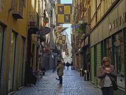 Foto Hasil Kamera Oppo Reno3