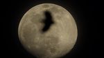Terpukau Indahnya Fenomena Supermoon di Berbagai Belahan Dunia