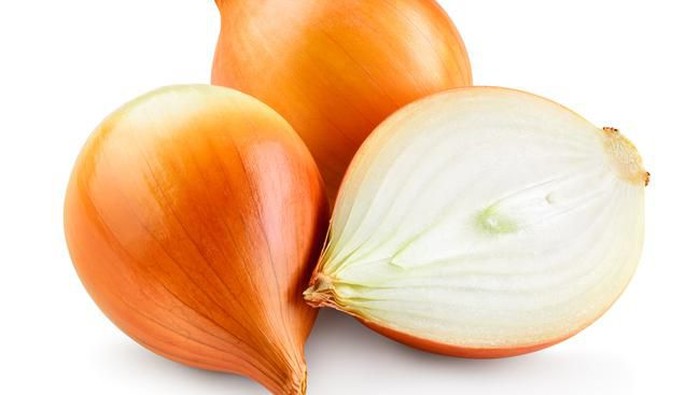 bawang bombai