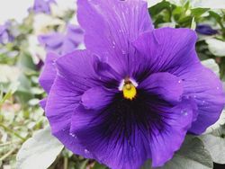 Foto Hasil Kamera Oppo Reno3