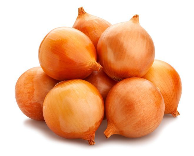 bawang bombai