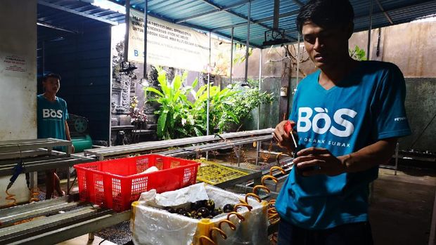 Dorong Petani Muda, Mentan Limpo Punya Geratieks