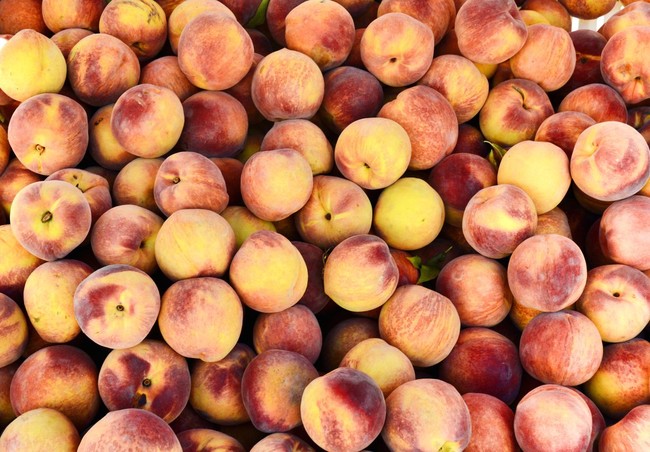 5 Buah Penyebab Alergi, Efeknya Gatal, Mual hingga Pingsan 5 Buah Penyebab Alergi, Efeknya Gatal, Mual hingga Pingsan