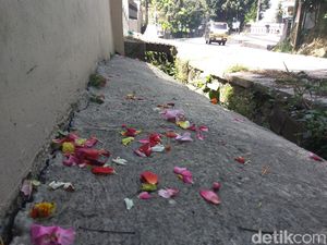 Taburan Bunga di Parit Tandai Lokasi Temuan Mayat Anjanii Bee