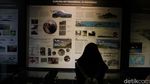 Foto: Batu-batu Tak Biasa di Museum Geologi Bandung