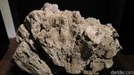 Foto: Batu-batu Tak Biasa di Museum Geologi Bandung