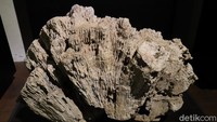 Museum Geologi Bandung memiliki koleksi lebih dari 100 ribu jenis batu yang dipamerkan bagi para pengunjung. Batu-batu itu dipajangkan dengan beragam ukuran. (Wisma Putra/detikcom)