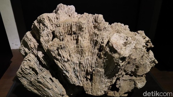 Museum Geologi Bandung memiliki koleksi lebih dari 100 ribu jenis batu yang dipamerkan bagi para pengunjung. Batu-batu itu dipajangkan dengan beragam ukuran. (Wisma Putra/detikcom) Museum Geologi Bandung memiliki koleksi lebih dari 100 ribu jenis batu yang dipamerkan bagi para pengunjung. Batu-batu itu dipajangkan dengan beragam ukuran. (Wisma Putra/detikcom)