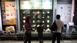 Foto: Batu-batu Tak Biasa di Museum Geologi Bandung