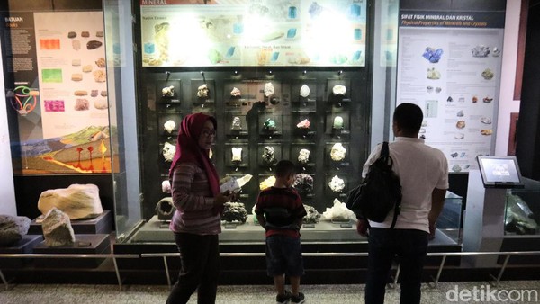 Kurang lebih ada sekitar 108.905 koleksi batu yang sebagian besar berasal dari Indonesia. Di antaranya Batugamping dari Kupang hingga Granit dari Sanggau. (Wisma Putra/detikcom) Kurang lebih ada sekitar 108.905 koleksi batu yang sebagian besar berasal dari Indonesia. Di antaranya Batugamping dari Kupang hingga Granit dari Sanggau. (Wisma Putra/detikcom)