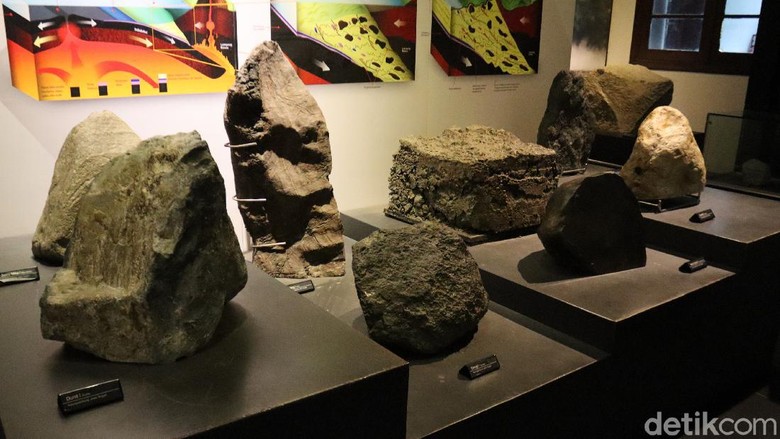 Bukan Sembarang Batu Ini Koleksi Berharga Museum Geologi Bandung