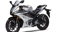 Kedua motor sport ini masih akan mengusung dapur pacu yang sama seperti generasi sebelumnya. Untuk YZF R3 ABS masih akan menggendong mesin 2 silinder 4 katup dengan kapasitas mesin 320cc DOHC 4-stroke air-cooler. Sedangkan untuk Yamaha YZF-R25 masih akan menggendong mesin 249cc. Kedua model ini dikatakan sudah bisa dipesan mulai 2020 di Thailand dan akan langsung diproduksi oleh PT Yamaha Indonesia Motor Manufacturing (YIMM). Foto: Pool (thai.webike/Yamaha)