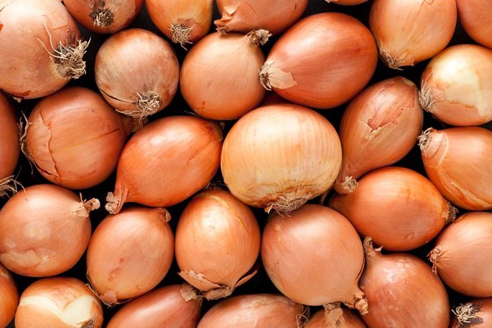 bawang bombai