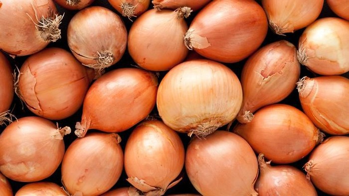 bawang bombai bawang bombai