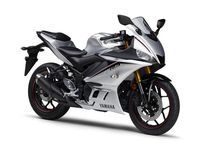 Yamaha R25 silver