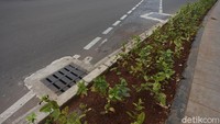 Jalan sepeda yang di persimpangan metropole ini nampak nabrak trotoar.