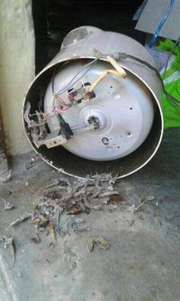 Waduh! Ada Puluhan Bangkai Cicak Bersarang Dalam Rice Cooker 