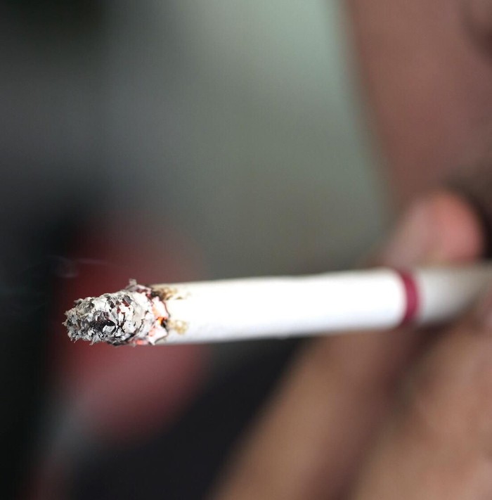 Rokok
