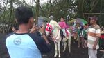 Cuma di Lumajang, Naik Kuda Seperti Koboi Tapi di Pantai