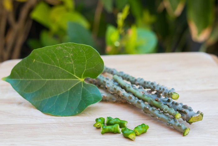 Kencur Rice is one of the traditional beverages Indonesia (Java). This drink is also classified as an herb because it has many benefits and is very popular in Indonesia with a fresh sweet taste and can be used as a daily beverage.