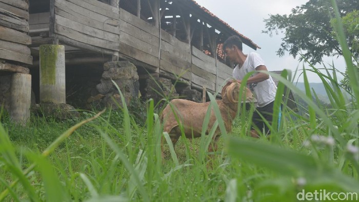 Desa Wisata Cibuntu kampung Doma di Kuningan