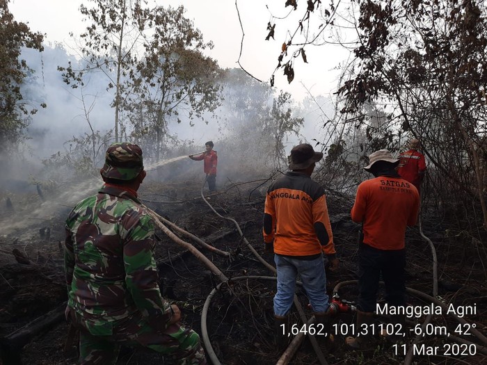 Pemadaman karhutla di Dumai. (Dok. Manggala Agni)