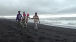 Cuma di Lumajang, Naik Kuda Seperti Koboi Tapi di Pantai