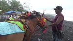 Cuma di Lumajang, Naik Kuda Seperti Koboi Tapi di Pantai