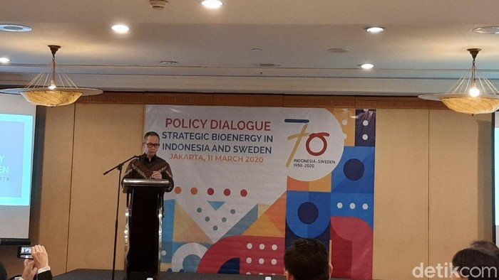Wamenlu Mahendra Siregar dalam acara Policy Dialogue Strategic Bioenergy in Indonesia and Sweden di Hotel Aryaduta (Nur Azizah Rizki/detikcom)