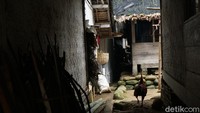 Ada sekitar 113 rumah di Kampung Naga termasuk bale dan masjid. Jumlah penduduknya ada sekitar 296 orang. Namun, tak ada sarana pendidikan di sana.