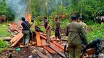 BBKSDA Bakar Pondok Persembunyian Pembalak Liar di Riau