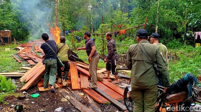 BBKSDA Bakar Pondok Persembunyian Pembalak Liar di Riau BBKSDA melakukan patroli di dua kawasan konservasi Riau. Hasilnya, ditemukan aktivitas illegal logging.