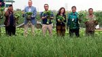 Belanda Jajaki Kerja Sama Bidang Pertanian dengan RI