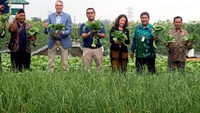 Kami akan senang jika bisa sharing teknologi pertanian. Kami ingin berkontribusi dan bekerja sama dengan kementerian (pemerintah) dan perusahaan (swasta) di sini (Indonesia), kata Jan Kees Goet.
