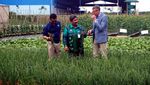 Belanda Jajaki Kerja Sama Bidang Pertanian dengan RI