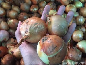 Tak Berani Pasok Bawang, Importir Minta Kepastian Pemerintah