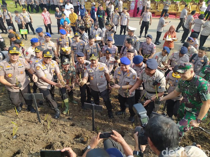 Kabaharkam Komjen Pol Agus Andrianto bersama TNI dan jajaran serta masyarakat menanam rumput vetiver di tanggul Sungai Porong Sidoarjo. Itu dilakukan agar tanggul sungai itu tidak mudah langsor saat puncak musim hujan.