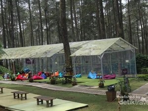 Segarkan Pikiran di Orchid Forest Bandung