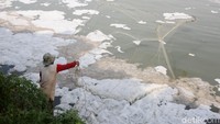 Busa yang mengambang ini mengganggu aktivitas pencari ikan di pantai tersebut.